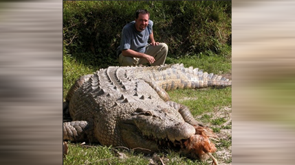 from-gomek-to-maximo-img